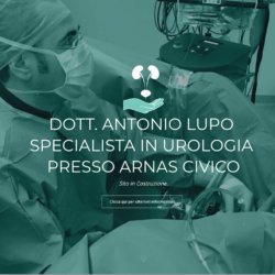 sito-moode-urologo-palermo-antoniolupo-ospedalecivico-professionista-urologia-moode